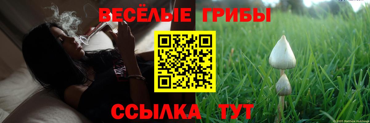 Орёл  Псилоцибиновые грибы Psilocybe  Вход с VPN  Псилоцибиновые грибы Psilocybine cubensis 
